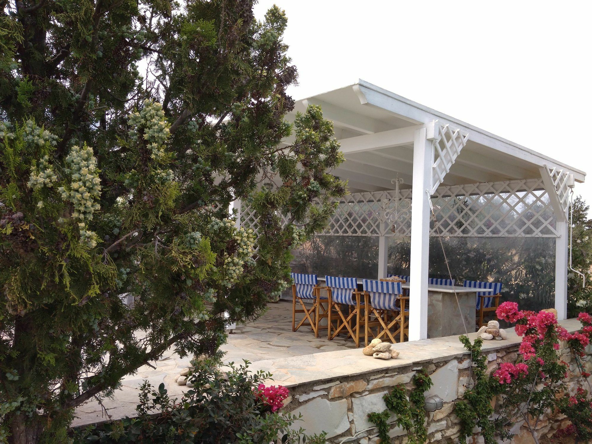 Dryades Family Hotel Drios Exterior foto